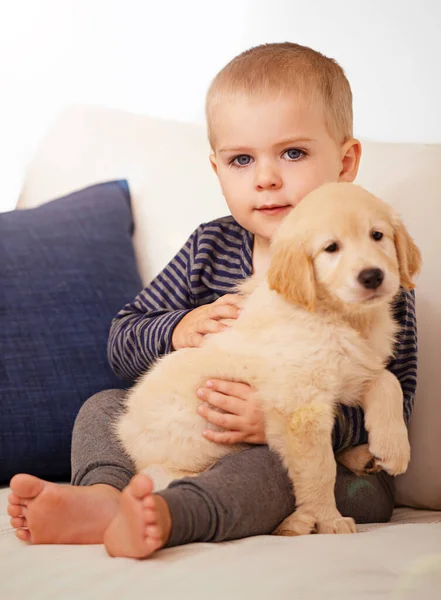 Muotokuva Kultainen Noutaja Tai Koira Onnellinen Lapsi Yhdessä Rakkautta Hoitoa — kuvapankkivalokuva