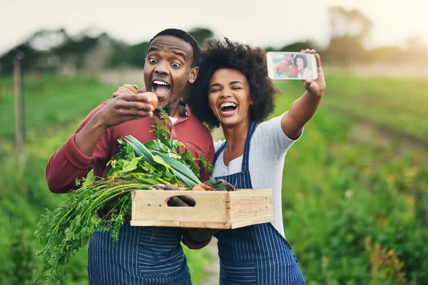 Får Tomater Till Våra Färska Grönsaker Ett Kärleksfullt Ungt Par — Stockfoto