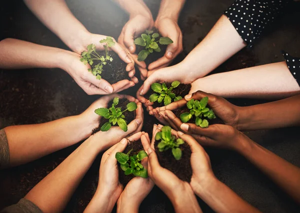 Eller Bir Arada Bitki Toprağı Çeşitlilik Yukarıda Sürdürülebilirlik Toplumsal Çalışma — Stok fotoğraf