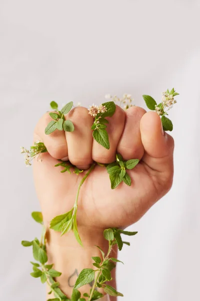 Vrouw Hand Natuur Vuist Met Bladeren Voor Eco Strijder Strijd — Stockfoto