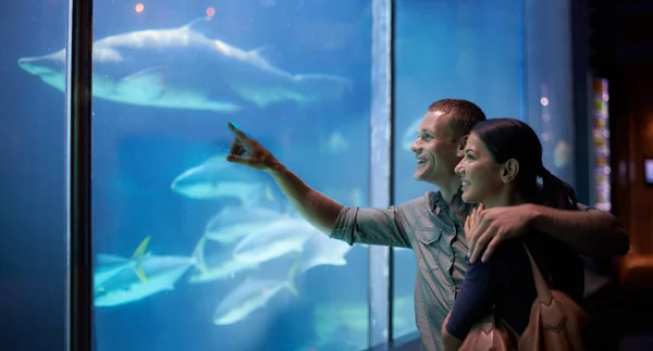 Акваріум Щаслива Пара Вказує Рибу Відпустці Відпустці Побаченні Разом Посмішка — стокове фото