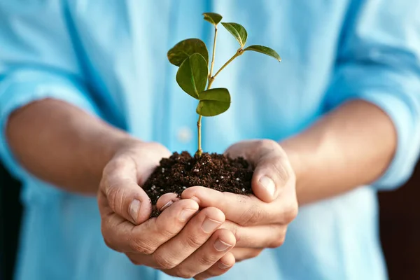 Plant Growth Sustainability Hands Person Holding Budding Flower Soil Closeup — Stock Photo, Image