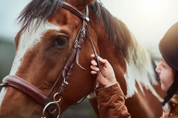 準備とトレーニングを開始する準備ができて女性の手でレース動物の屋外の顔 乗馬や馬術の運動のために手綱を保持する女性の馬 田舎やペット — ストック写真