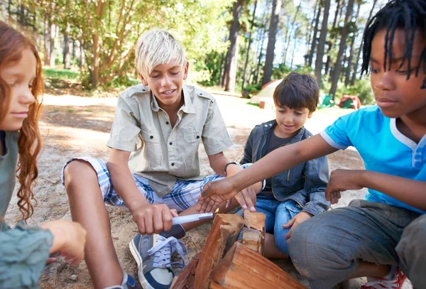 木柴和帮助森林里的孩子参加夏令营 团队合作和学习 与一群孩子一起在森林里露营 寻找火焰 朋友和自然的环境 快乐和冒险 — 图库照片