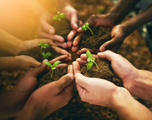 Plant Sustainability Soil Hands People Teamwork Earth Environment Collaboration Growth — Stock Photo, Image