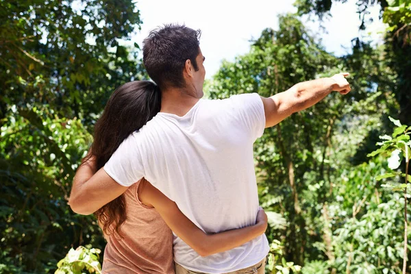 Stock image What a stunning view. Rear-view shot of a young couple looking out at the forest canopy