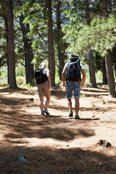 一起在森林里散步一对夫妇在森林中远足的后视镜镜头 — 图库照片