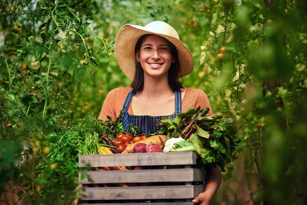 农业和妇女的肖像与板条箱在农场后收获的夏季蔬菜 女性和微笑与一盒绿色产品 食品或农业在自然界中的可持续性 — 图库照片