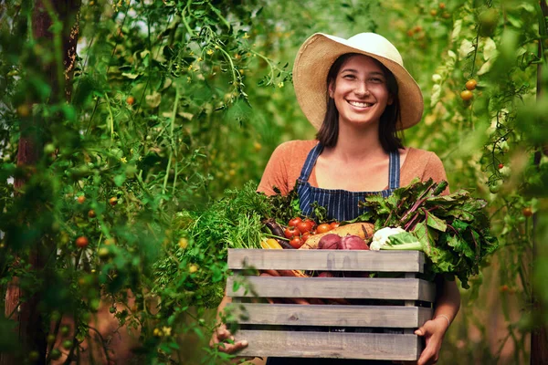 Çiftçi Tarım Yaz Sebze Hasadından Sonra Çiftlikte Kutulu Kadın Portresi — Stok fotoğraf