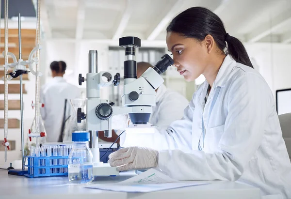 彼女の主張を支持する証拠を見つけること 研究室で顕微鏡を使っている若い科学者は — ストック写真