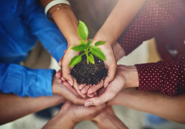 Руки Растения Рост Сверху Людьми Держащими Груду Земли Устойчивости Окружающей — стоковое фото