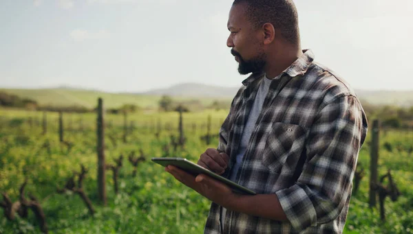 Maatila Tabletti Musta Mies Maataloudessa Kestävyydessä Tai Sadon Tutkimuksessa Keväällä — kuvapankkivalokuva