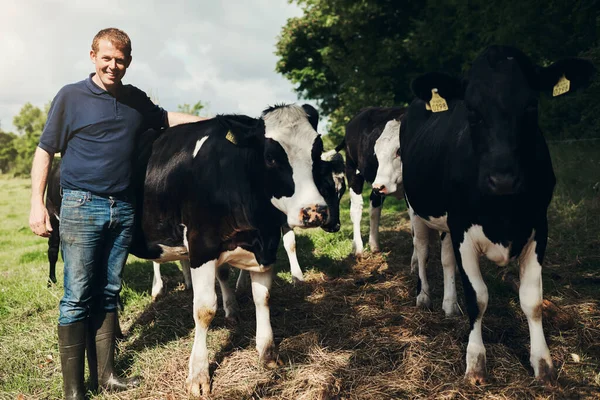 Portrét Zemědělství Krávy Mužem Farmě Venkovní Pro Hovězí Nebo Přírodní — Stock fotografie