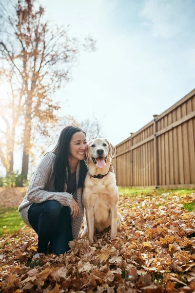狗让世界变得更快乐 秋天的一天 一位年轻貌美的女士在花园里和她的狗玩耍 — 图库照片