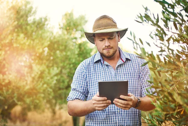 収益性を最大化するための最良の経済的選択肢について情報を保持する デジタルタブレットを使った農民が — ストック写真