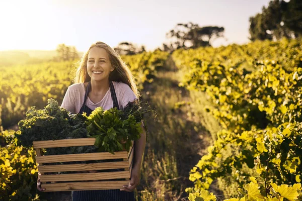 Göra Framsteg Inom Jordbruksindustrin Ung Kvinna Som Håller Låda Full — Stockfoto