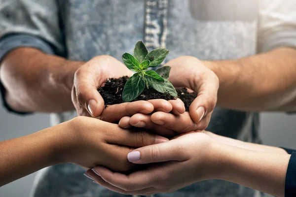 Duurzaam Milieu Handen Met Plant Voor Natuur Als Team Voor — Stockfoto