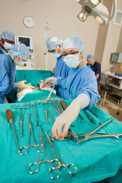 她对乐器了如指掌 在手术室里做手术的一组外科医生 — 图库照片