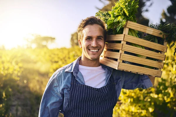 Man Farm Crate Produce Portrait Harvest Success Happiness Agriculture Male — Stock Photo, Image