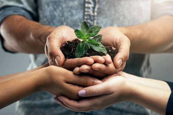 Sustentabilidade Planta Mãos Com Solo Para Natureza Como Uma Equipe — Fotografia de Stock