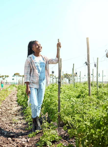 Jovem Mulher Sua Fazenda Fazendeiro Feliz Segurando Uma Ferramenta Agrícola — Fotografia de Stock