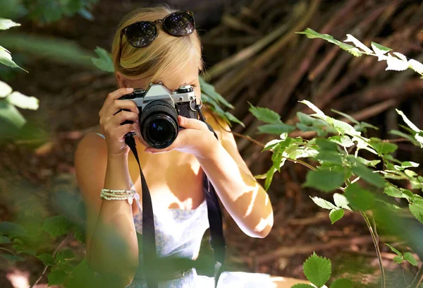 Fotografowanie Liści Atrakcyjna Młoda Kobieta Robi Zdjęcia Lesie — Zdjęcie stockowe