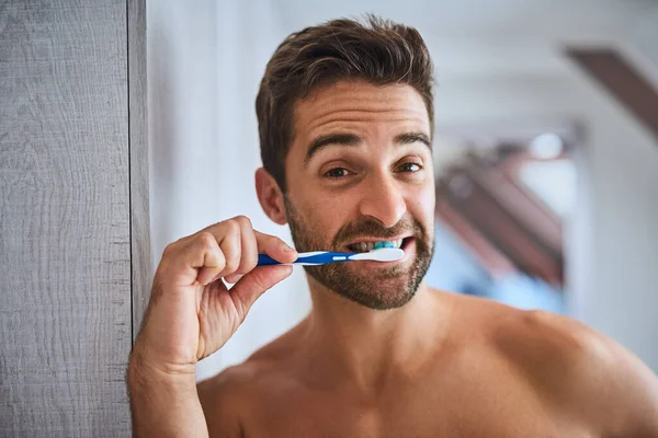 Portrait Toothbrush Man Brushing Teeth Bathroom Dental Wellness Healthy Habit — Stock Photo, Image