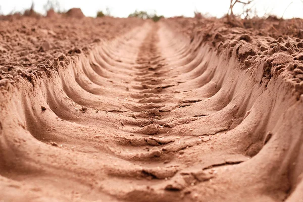 Sand Agriculture Field Land Farm Ground Economic Growth Sustainability Nature — Stock Photo, Image