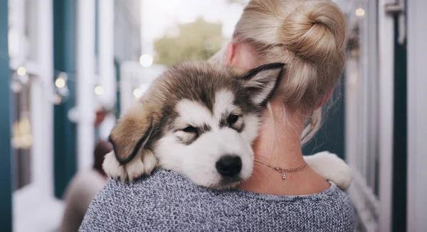 爱情和一个女人带着她的狗在家里 作为信任 安全或友谊的伴侣 狗和一个女饲养者把她那只纯种的哈士奇小狗抱在肩上 放在一所房子里 — 图库照片