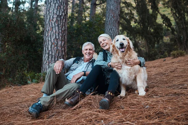在澳大利亚的森林地板上坐着一对老夫妇 一边笑一边远足 带着狗参加退休度假探险 老年男女在大自然中一起放松 带着爱 拉布拉多和健康散步 — 图库照片