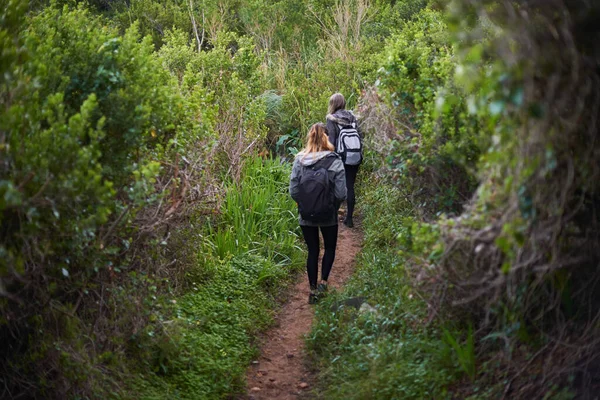 荒野に向かってる 自然の中を歩く2人の若い女性のレビューショット — ストック写真