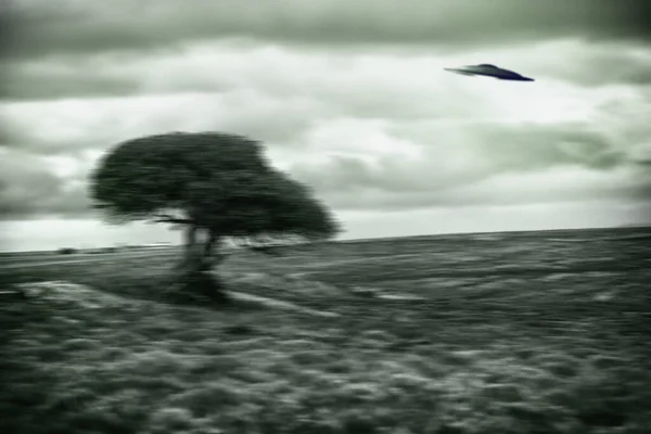 Ufo Ruimteschip Natuur Voor Buitenaardse Invasie Fantasie Sciencefiction Met Boom — Stockfoto