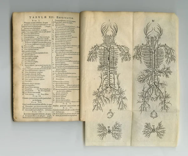 Vintage science book. An old anatomy book with its pages on display