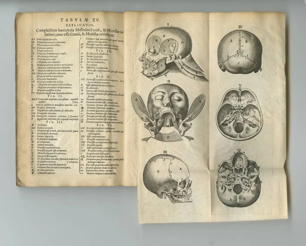 被风吹日晒的解剖书一本有书页的旧解剖学书 — 图库照片