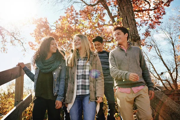 Kedvenc Időjárásunk Egy Csapat Tinédzser Akik Együtt Élvezik Őszi Napot — Stock Fotó