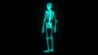 Dijital, 3D ve röntgen ile tıbbi veri, araştırma veya hologram teknolojisi için iskelet taraması yapın. Fütürist, ortopedik veya kemikler için tıp, sağlık ve anatomi bilimi.