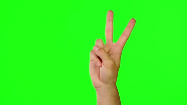 Πράσινη Οθόνη Chroma Κλειδί Και Σημάδι Ειρήνης Χέρια Του Ανθρώπου — Αρχείο Βίντεο