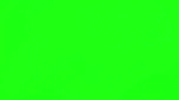 Pantalla Verde Pulgares Hacia Arriba Croma Clave Con Las Manos — Vídeos de Stock