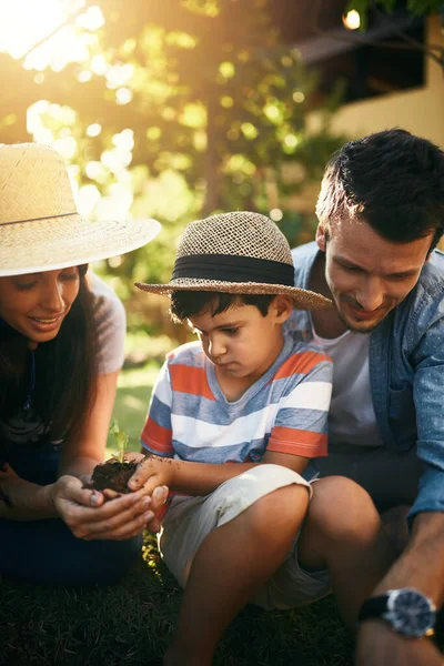 裏庭で持続可能性 農業や農業開発のための庭で家族 土壌や子供の学習 自然の中で砂を植えたり農業を教えたりする少年や子供の成長 — ストック写真