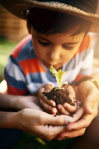 Χέρια Της Οικογένειας Του Εδάφους Του Παιδιού Φυτό Στον Κήπο — Φωτογραφία Αρχείου