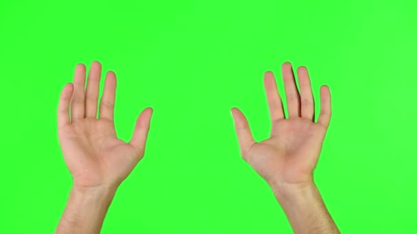 挥挥手 绿色屏风 欢迎大家的光临 与男人的交流和告别 以及在工作室背景下的快乐 动作和挥手的手势 — 图库视频影像