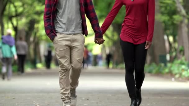 牵着手与黑人夫妇在公园浪漫 情人节和夏天 与在自然花园里散步的男人和女人建立友谊 感情和约会 以获得快乐 支持与和平 — 图库视频影像