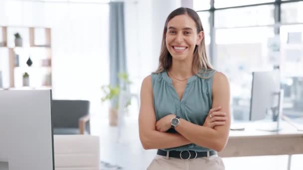 女性和员工交叉双臂 在工作场所具备管理和办公室技巧 女企业家和女商人快乐 事业有成 事业有成 — 图库视频影像