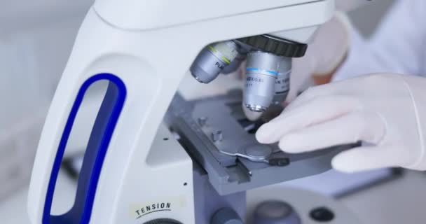 Vědec Mikroskop Analýza Vzorku Ženou Laboratoři Lékařském Výzkumu Vědeckém Experimentu — Stock video