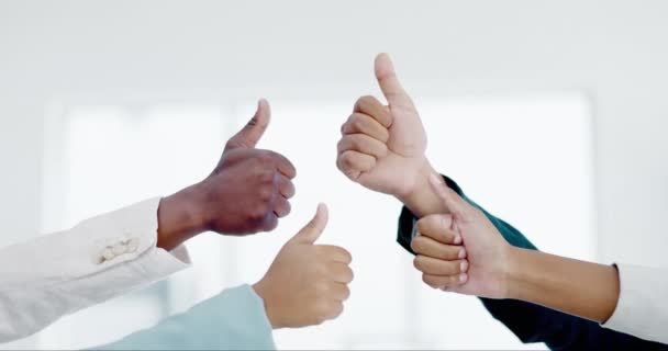 Üzletemberek Kezek Hüvelykujjak Fel Csapatmunka Sikerét Munkát Vagy Megállapodást Irodában — Stock videók