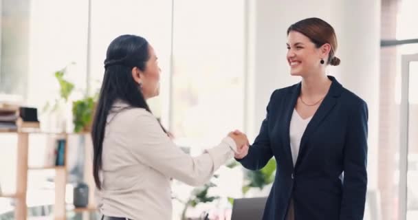 パートナーシップ B2Bのためのビジネスの人々 握手や会議やオフィスで一緒に対処します 職場での導入 挨拶やチームワークの合意に握手をする幸せな女性従業員 — ストック動画