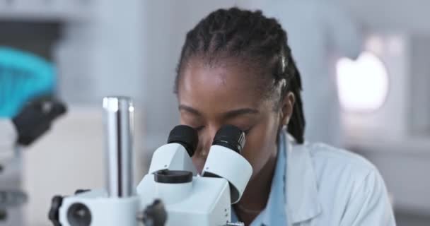 Μαύρη Γυναίκα Επιστήμονας Μικροσκόπιο Για Αναλύσει Δείγμα Για Επιστημονική Μελέτη — Αρχείο Βίντεο