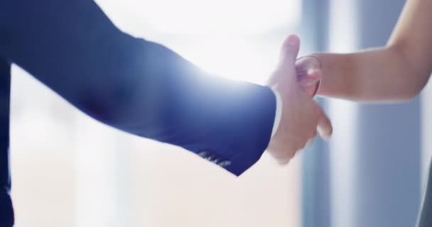 Håndtryk B2B Partnerskab Med Forretningsfolk Enighed Kontoret Fusionsaftale Møde Velkommen – Stock-video