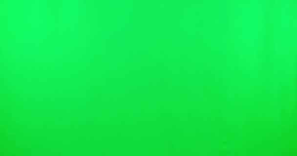 Тигриный Костюм Игривое Детское Лицо Зеленым Экраном Хэллоуинскими Ползунками Чувствующими — стоковое видео