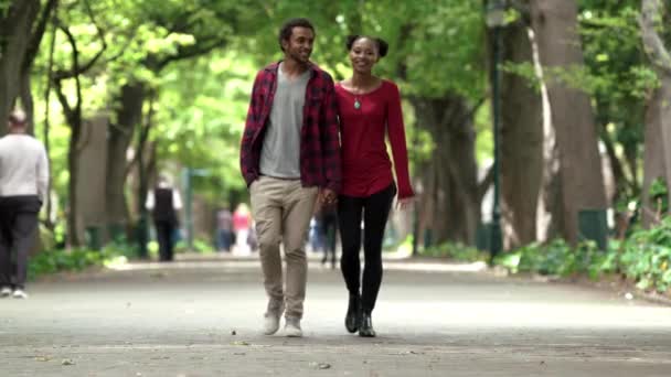 Šťastný Držící Ruce Lásku Černým Párem Parku Pro Romantiku Rande — Stock video